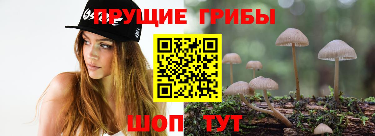 Галлюциногенные грибы Magic Shrooms Петропавловск-Камчатский