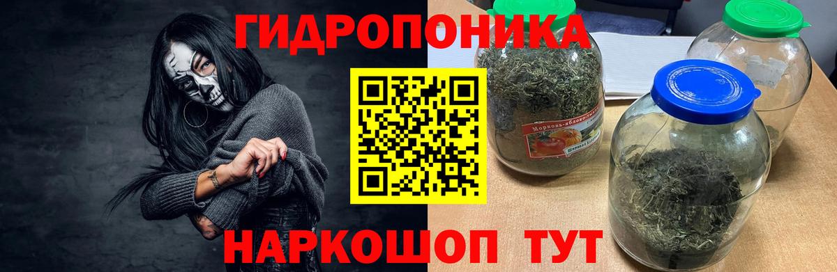 Марихуана White Widow  Вход с VPN  МАРИХУАНА Amnesia  Марихуана Bruce Banner  Петропавловск-Камчатский 
